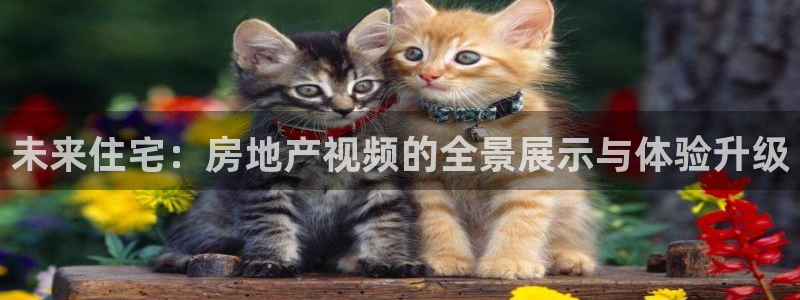 新宝5是谁：未来住宅：房地产视频的全景展示与体验升级
