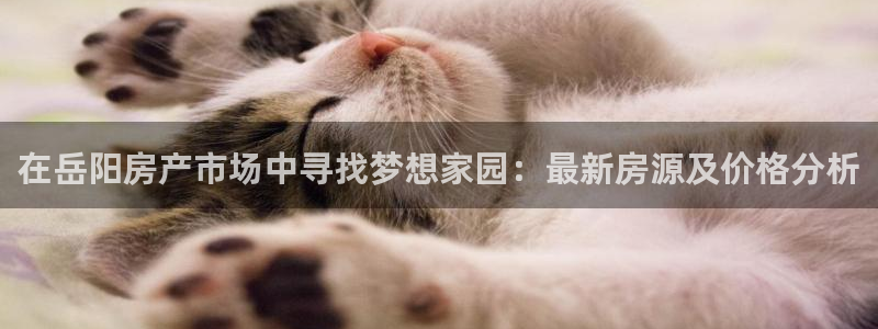 新宝5注册霸：在岳阳房产市场中寻找梦想家园：最新房源及价格分