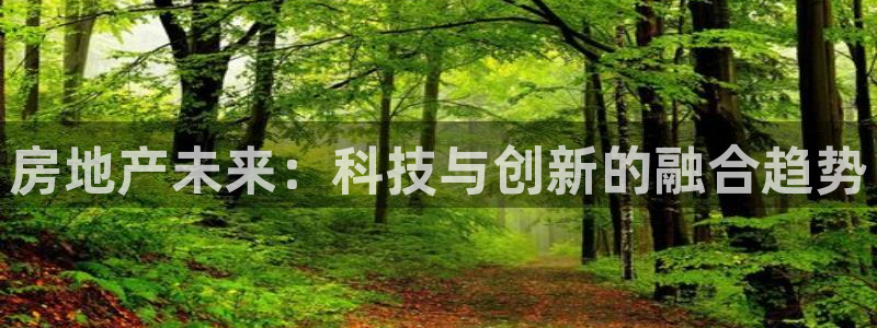新宝5彩票平台登陆：房地产未来：科技与创新的融合趋势