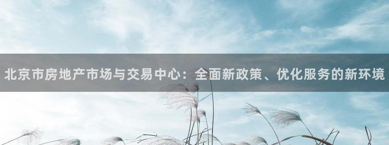 新宝5月：北京市房地产市场与交易中心：全面新政策、优化服务的