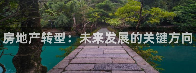 新宝5如何注册登录：房地产转型：未来发展的关键方向