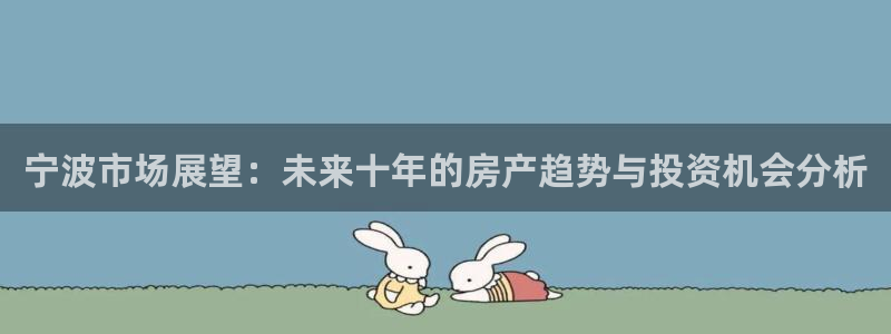 新宝5平台注册公司：宁波市场展望：未来十年的房产趋势与投资机